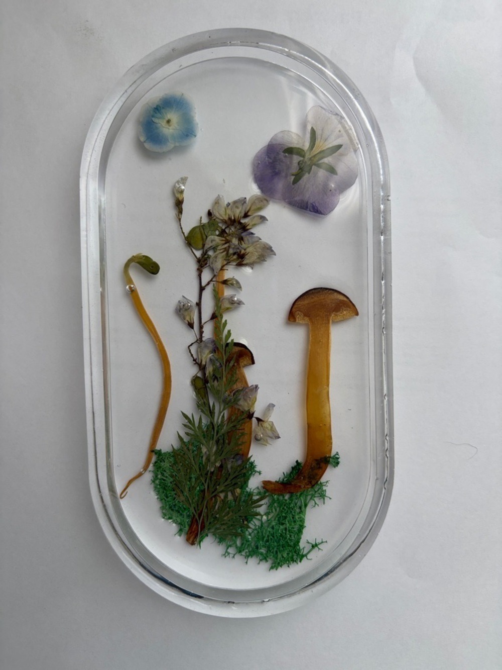 Handmade Pressed Flower & Mushroom Resin Tray - Clear Botanical Display